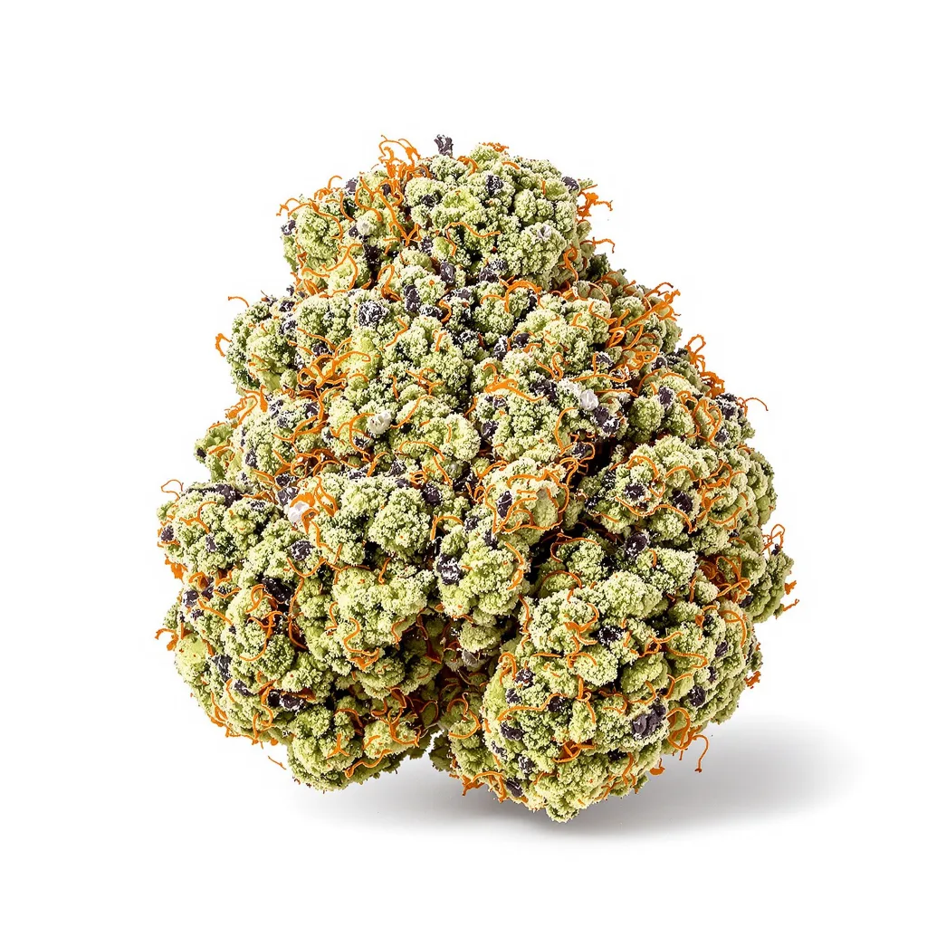 Mother’s Helper 49% indica / 51% sativa flower with visible trichomes