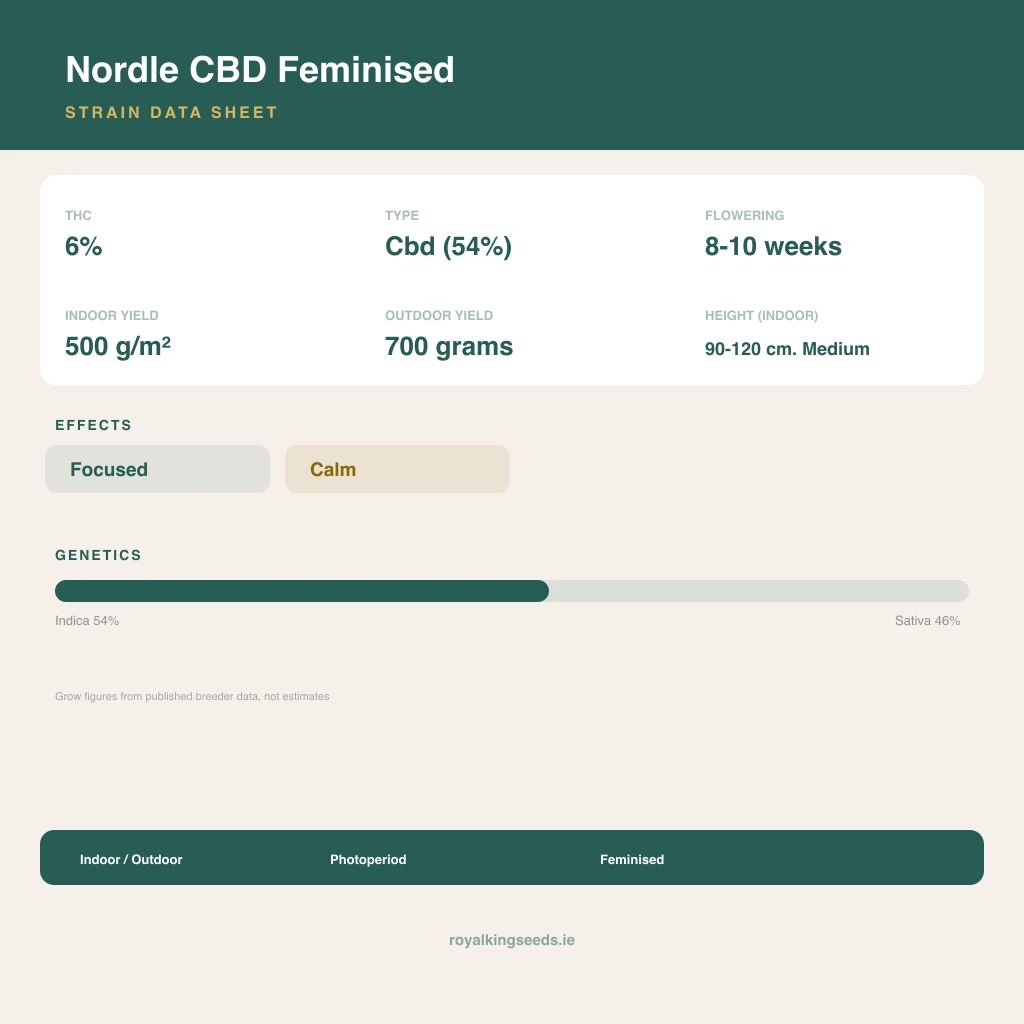 Nordle CBD 54% indica / 46% sativa flower with visible trichomes
