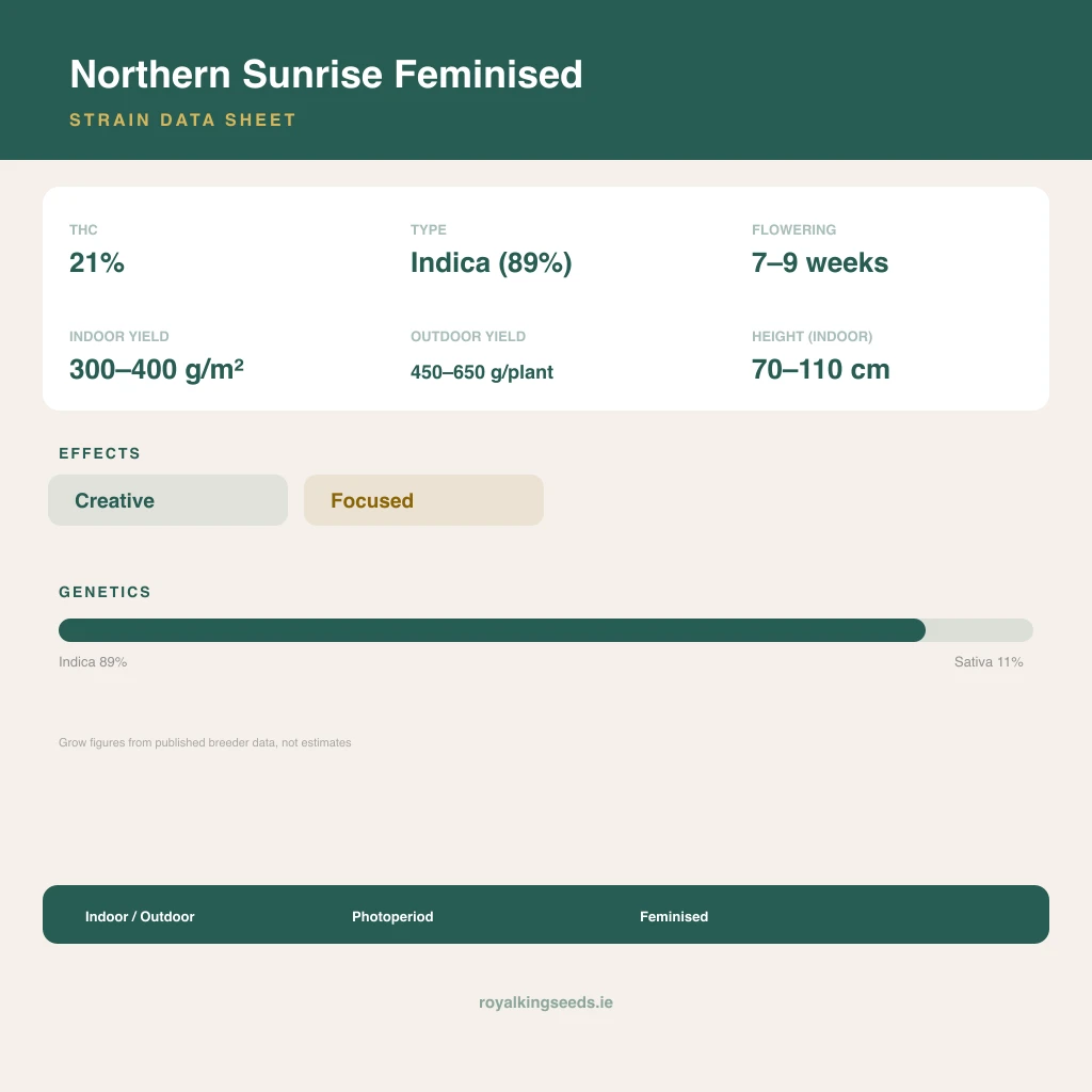 Northern Sunrise 89% indica / 11% sativa flower with visible trichomes