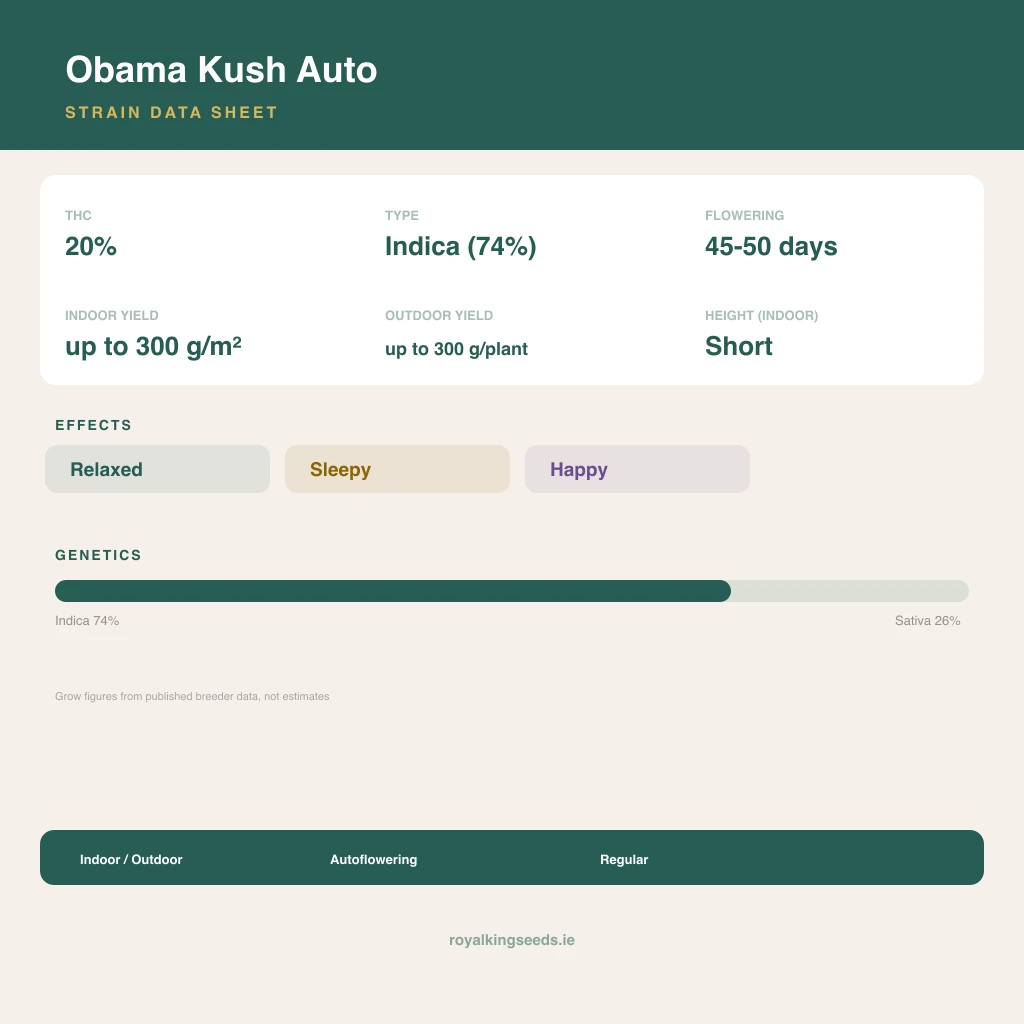 Obama Kush 74% indica / 26% sativa flower with visible trichomes