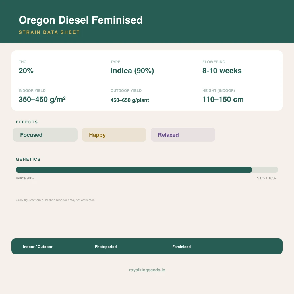 Oregon Diesel 90% indica / 10% sativa flower with visible trichomes