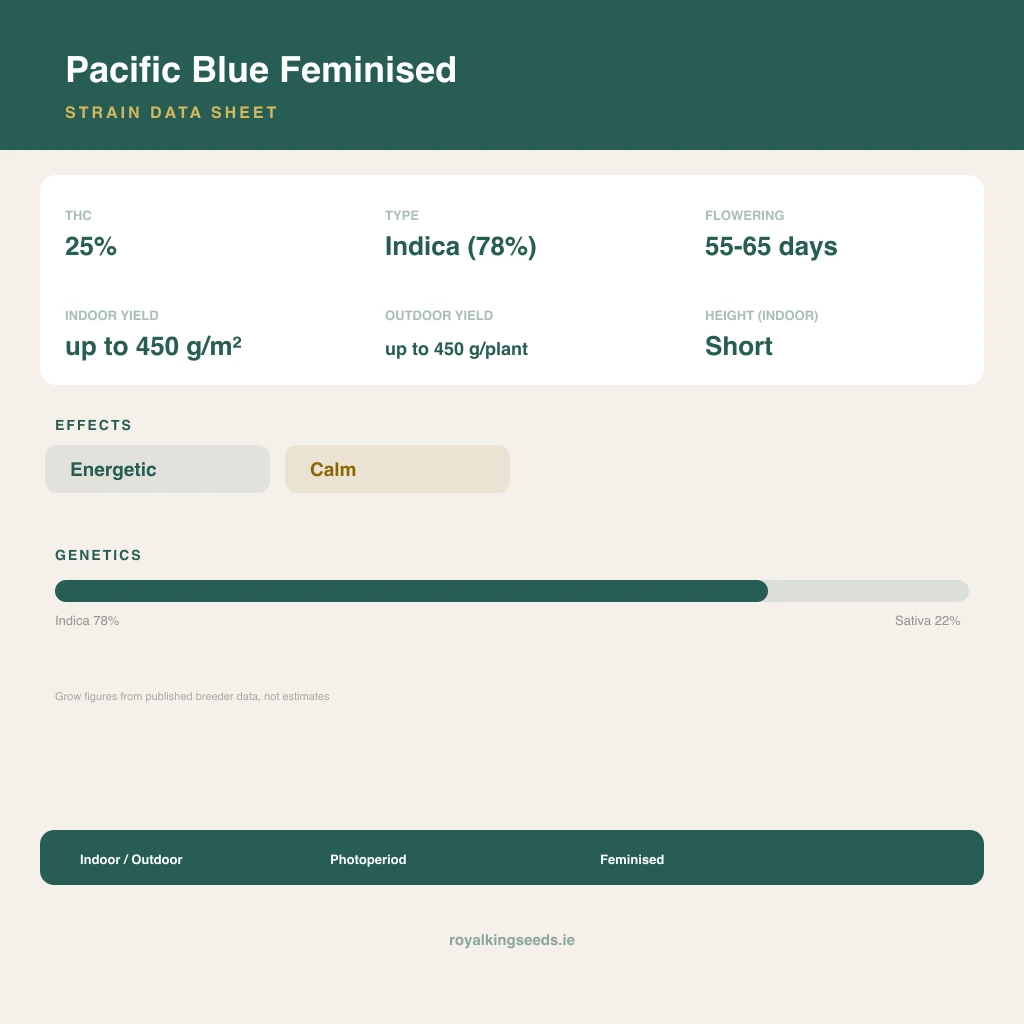 Pacific Blue 78% indica / 22% sativa flower with visible trichomes