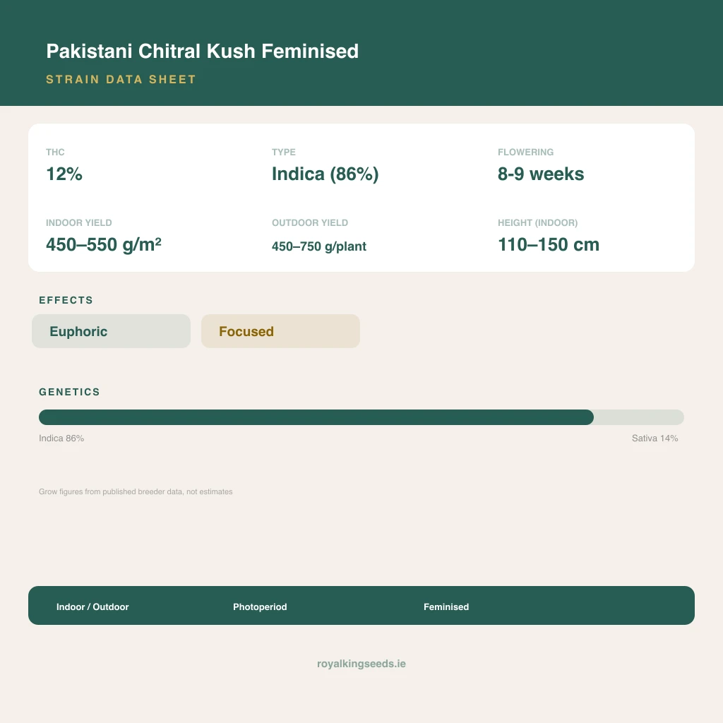 Pakistani Chitral Kush 86% indica / 14% sativa flower with visible trichomes