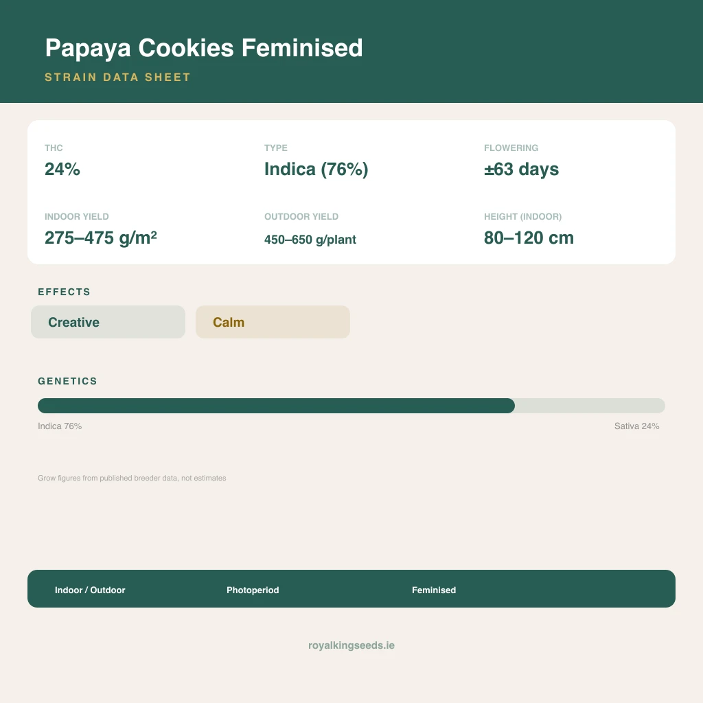 Papaya Cookies 76% indica / 24% sativa flower with visible trichomes