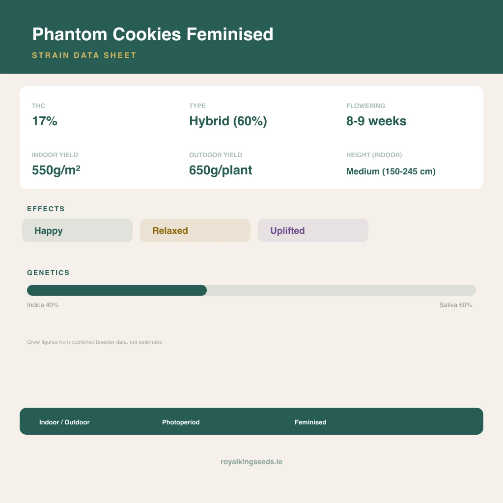Phantom Cookies 40% indica / 60% sativa flower with visible trichomes