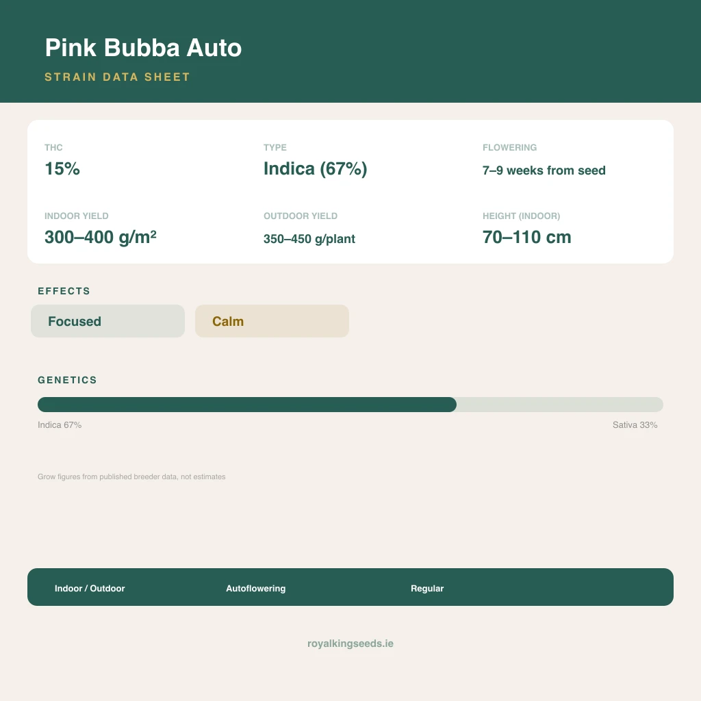 Pink Bubba 67% indica / 33% sativa flower with visible trichomes