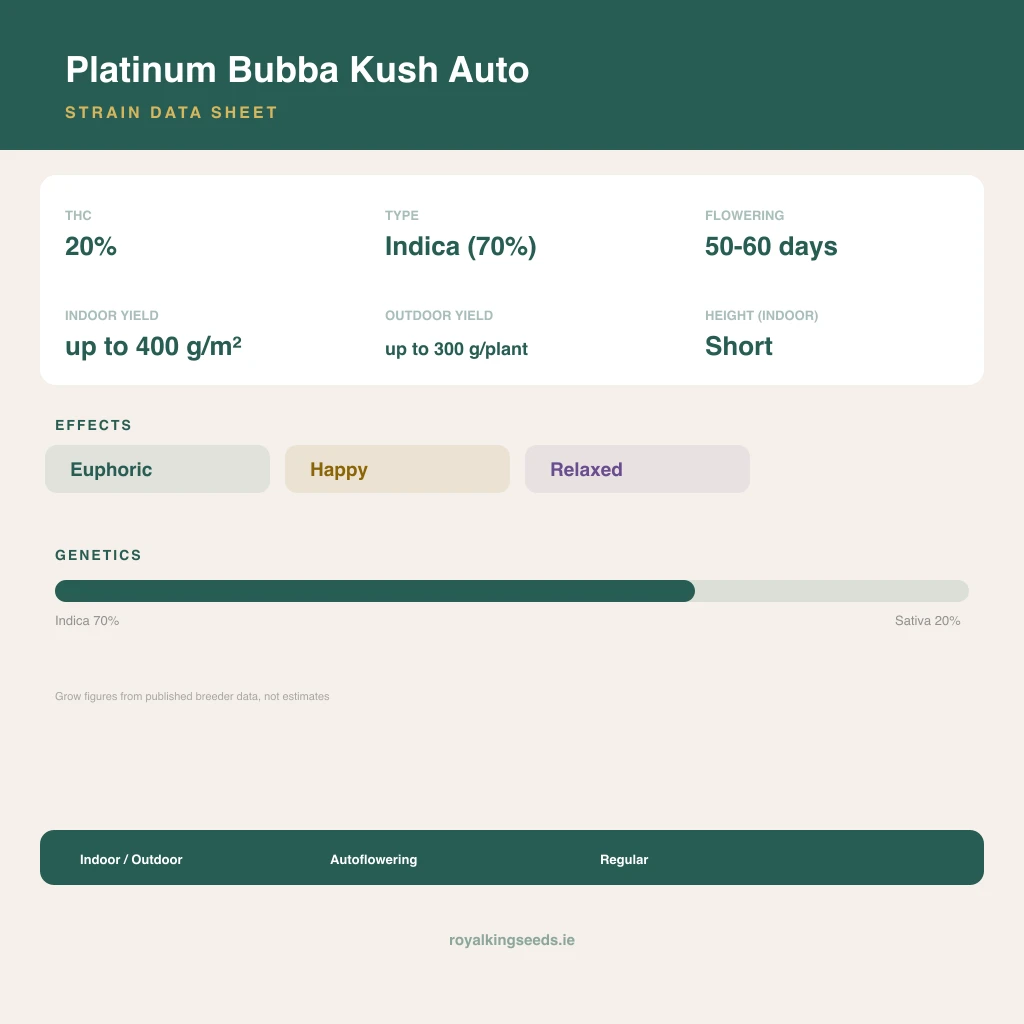 Platinum Bubba Kush 70% indica / 20% sativa flower with visible trichomes
