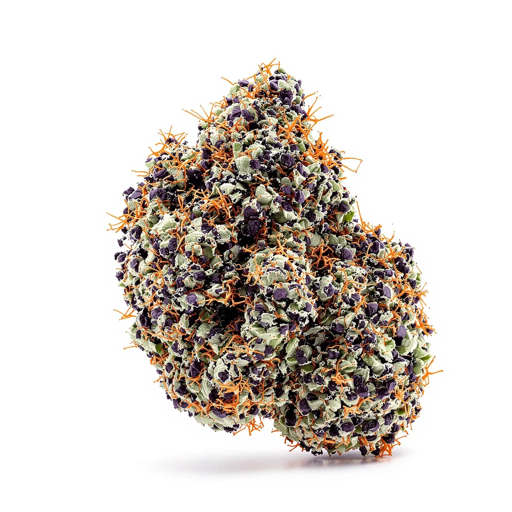 Pluto Kush 88% indica / 12% sativa flower with visible trichomes