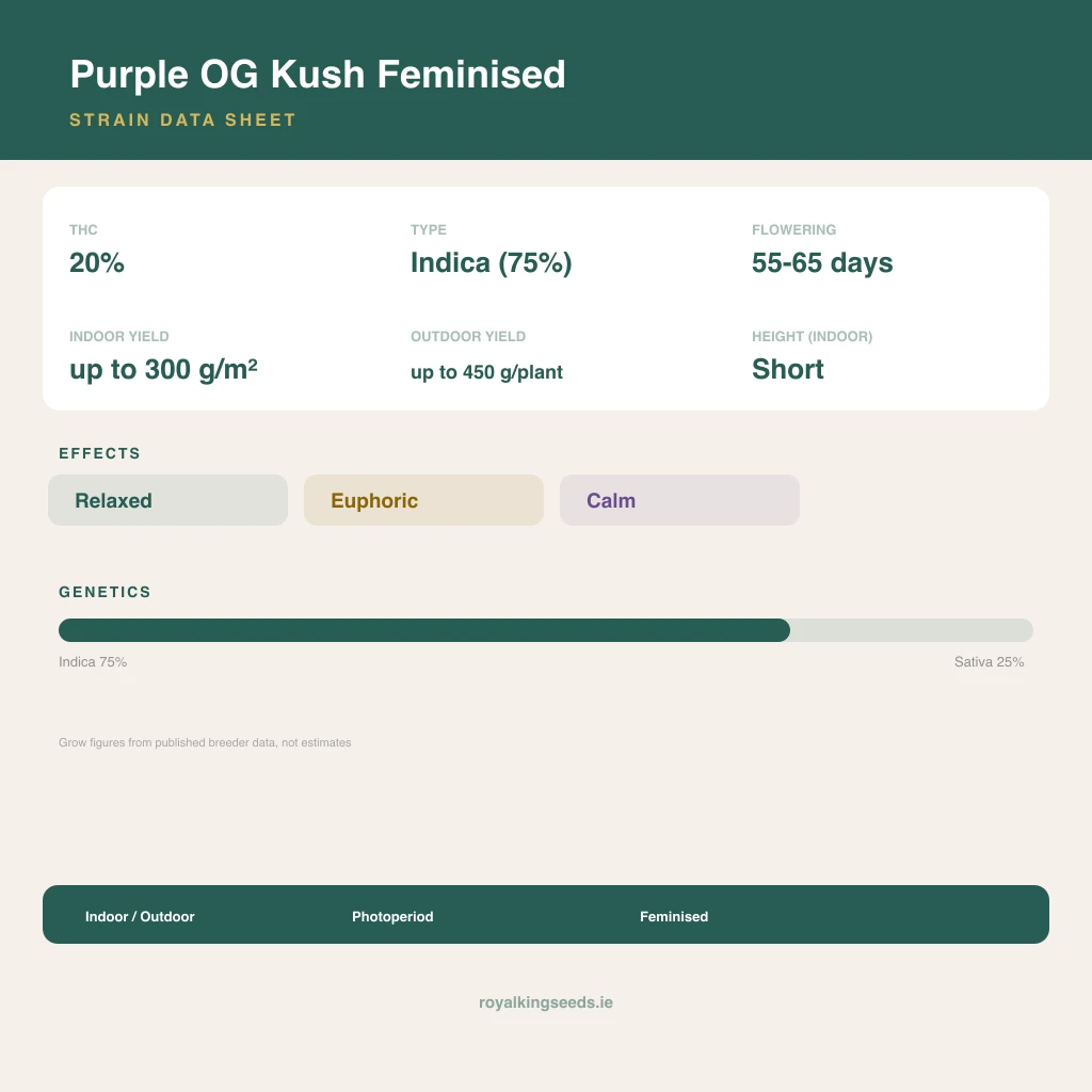 Purple OG Kush 75% indica / 25% sativa flower with visible trichomes