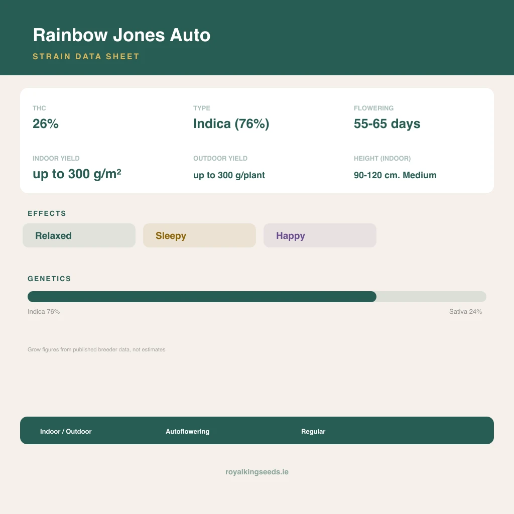 Rainbow Jones 76% indica / 24% sativa flower with visible trichomes