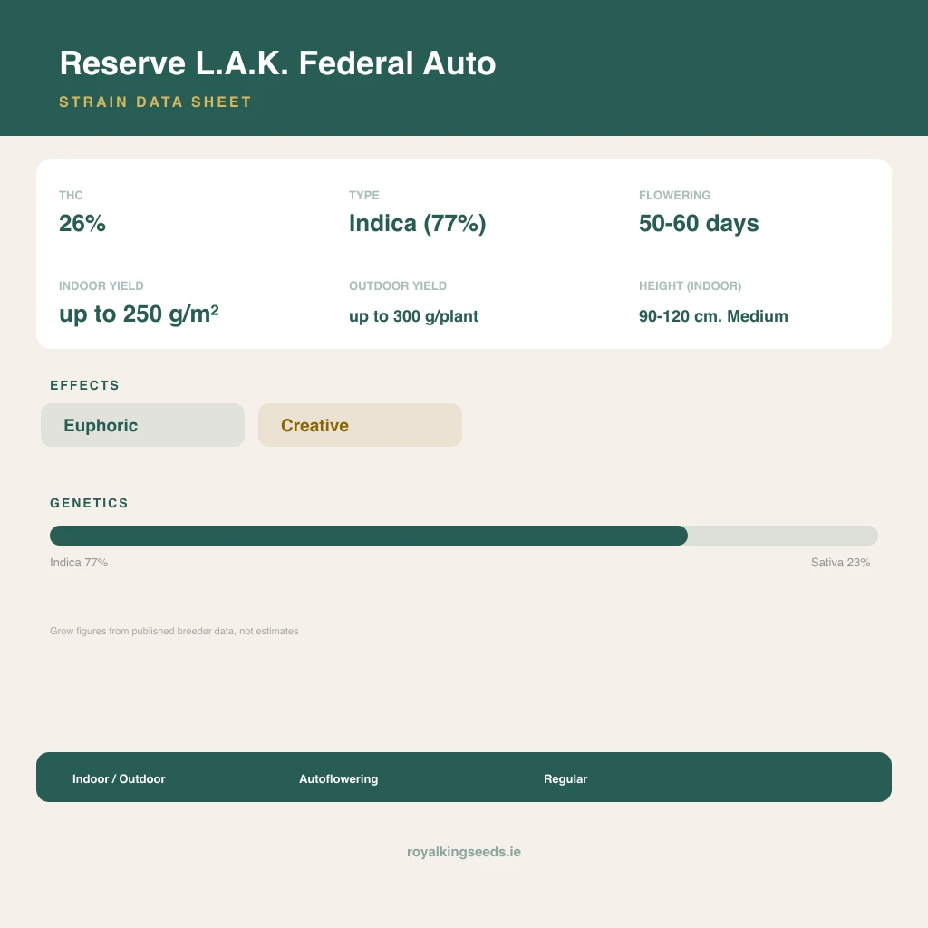Reserve L.A.K. Federal 77% indica / 23% sativa flower with visible trichomes