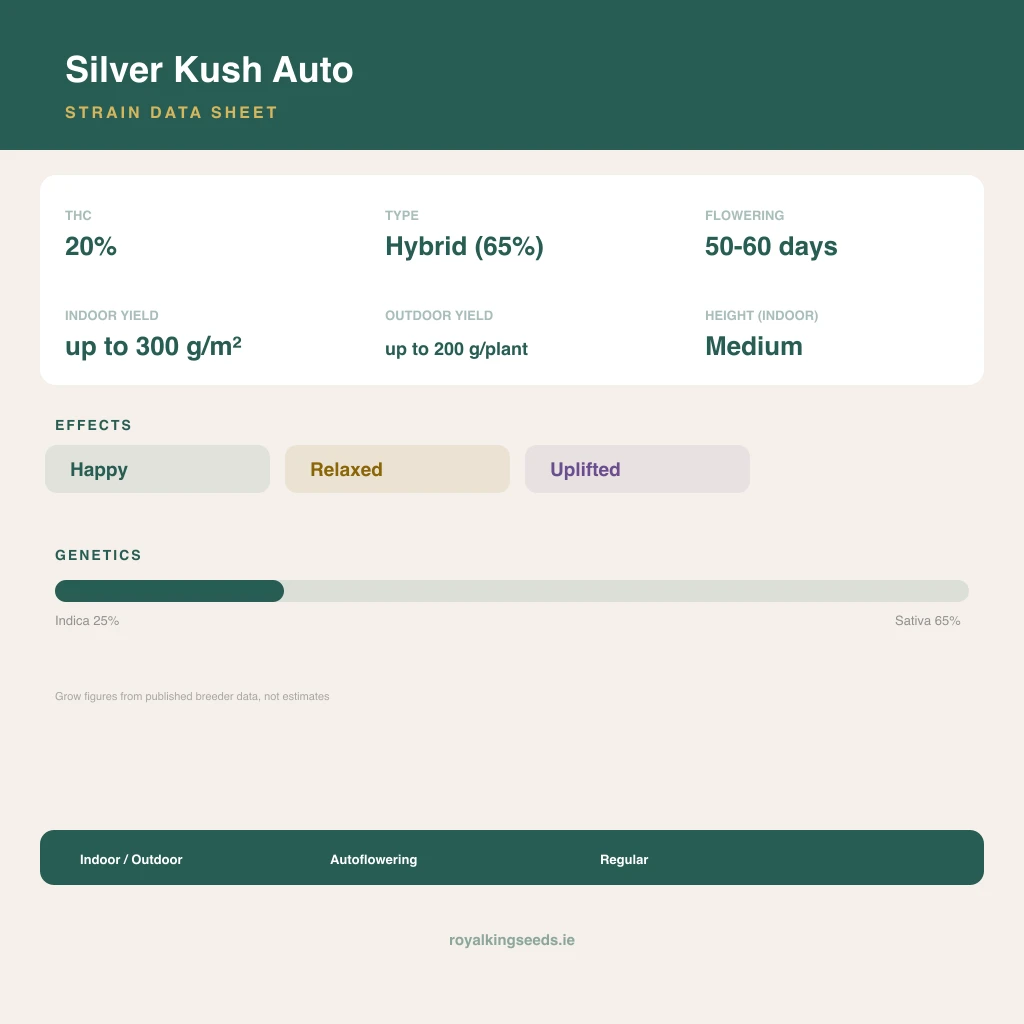 Silver Kush 25% indica / 65% sativa flower with visible trichomes