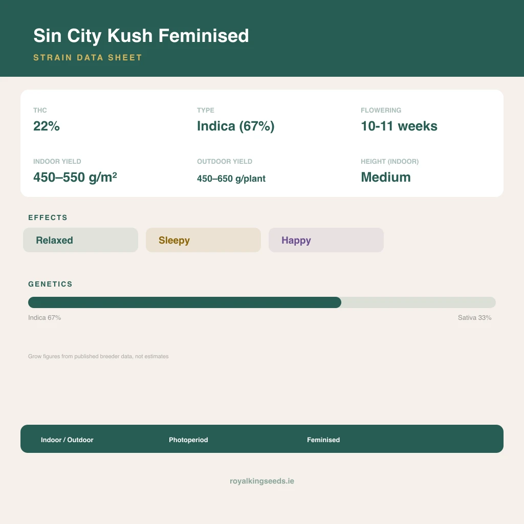 Sin City Kush 67% indica / 33% sativa flower with visible trichomes
