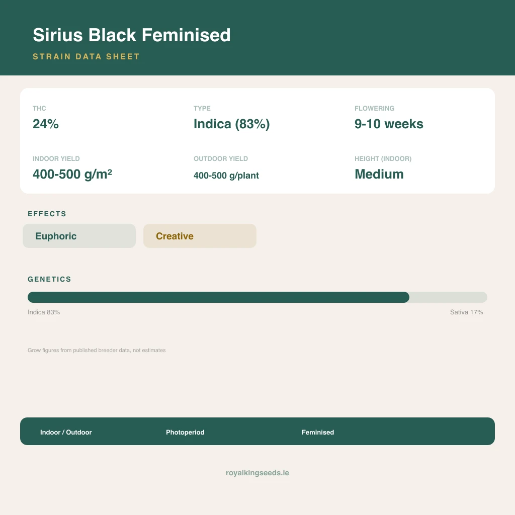 Sirius Black 83% indica / 17% sativa flower with visible trichomes