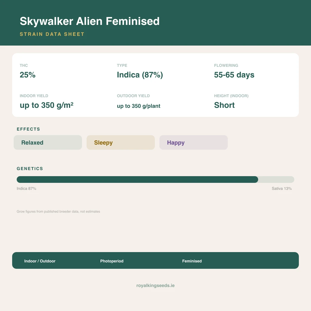 Skywalker Alien 87% indica / 13% sativa flower with visible trichomes
