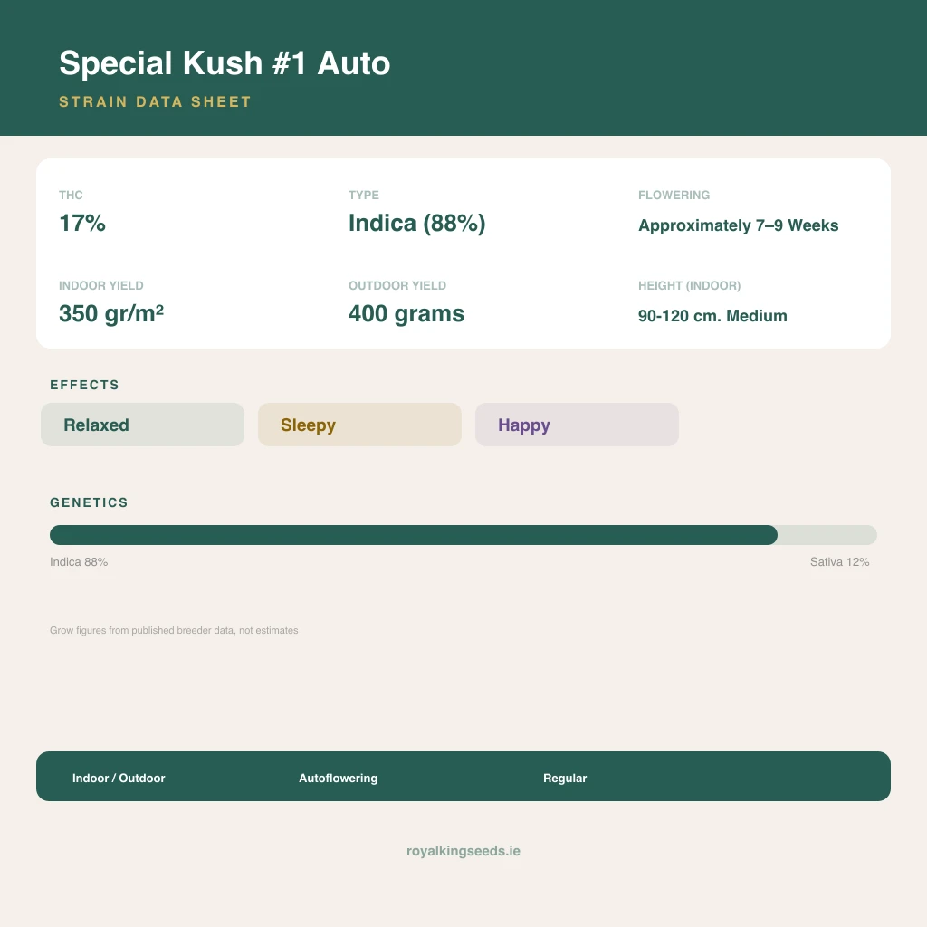 Special Kush #1 88% indica / 12% sativa flower with visible trichomes