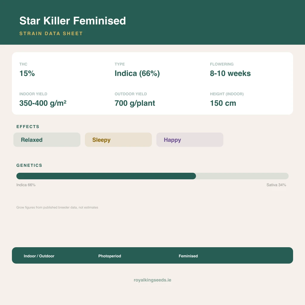 Star Killer 66% indica / 34% sativa flower with visible trichomes