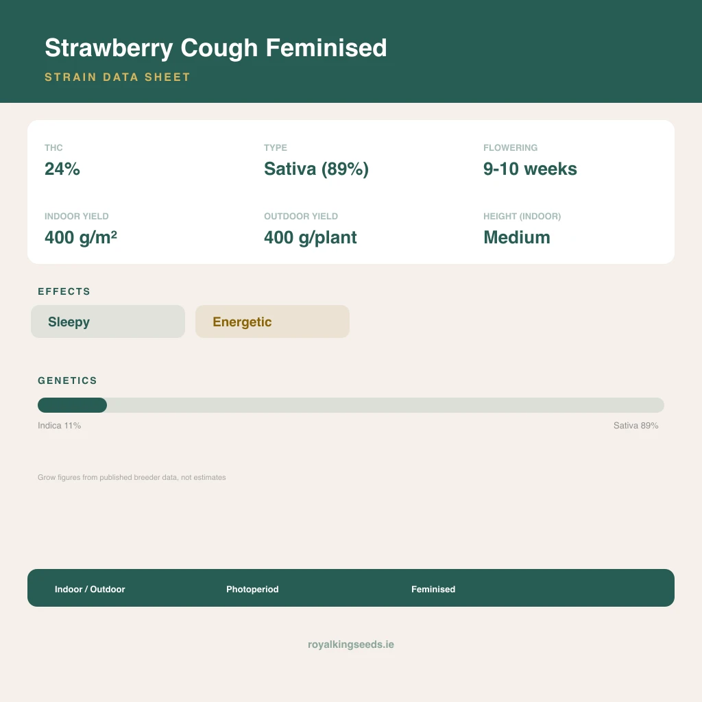 Strawberry Cough 11% indica / 89% sativa flower with visible trichomes