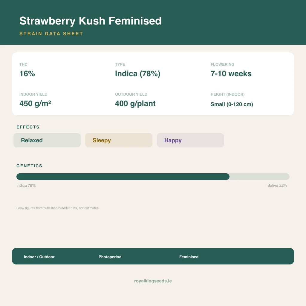 Strawberry Kush 78% indica / 22% sativa flower with visible trichomes