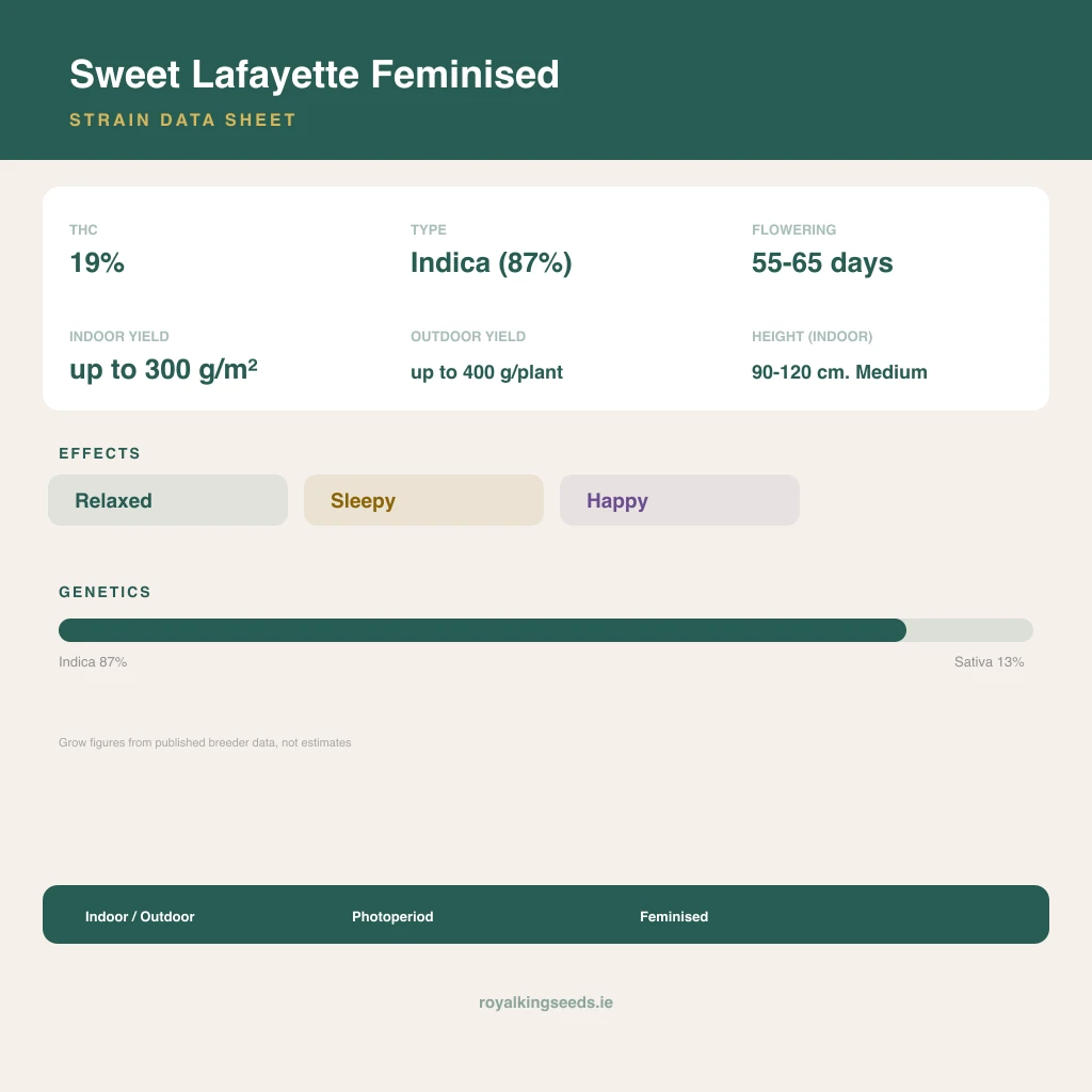 Sweet Lafayette 87% indica / 13% sativa flower with visible trichomes