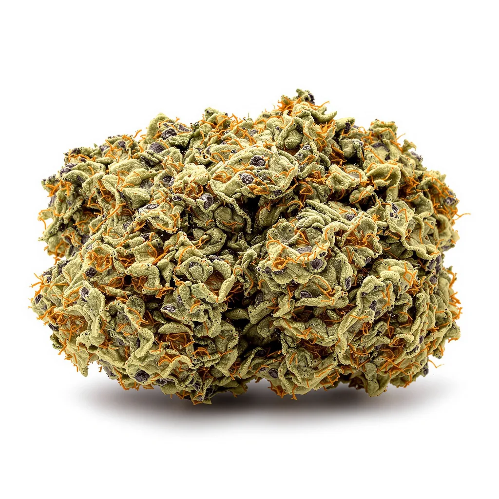 Tropicana Cookies Purple 76% indica / 24% sativa flower with visible trichomes