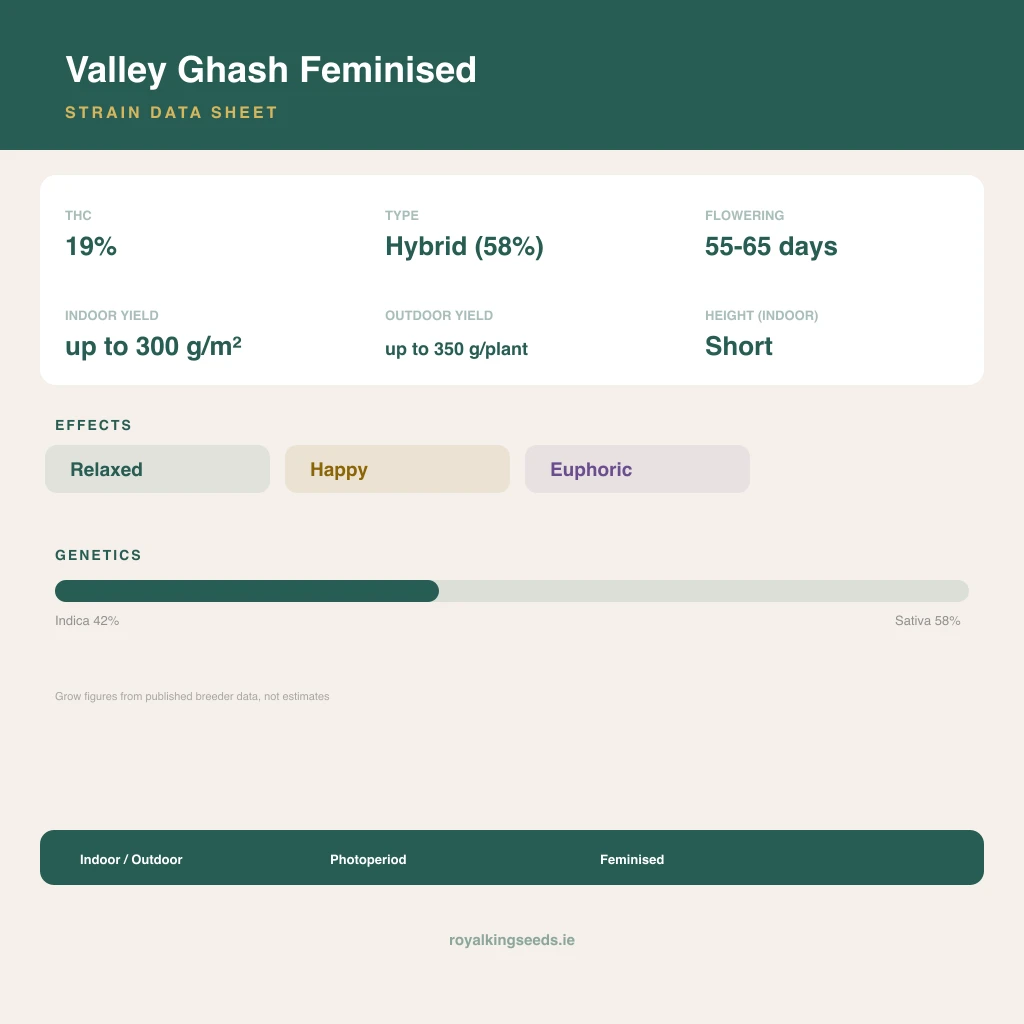 Valley Ghash 42% indica / 58% sativa flower with visible trichomes